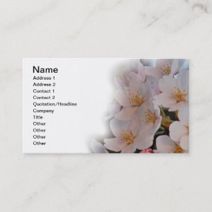 Cartão De Visita Flor de Cereja