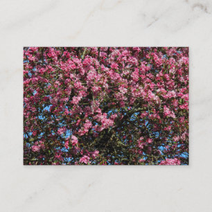 Cartão De Visita Flor de Cereja Rosa