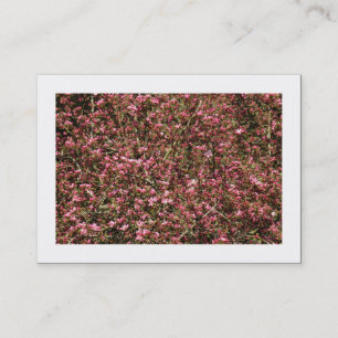 Cartão De Visita Flor de Cereja Rosa 02 (Bordado)