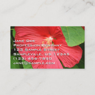 Cartão De Visita Flor de Hibisco Brilhante Magenta Floral
