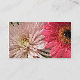 Cartão De Visita Flor de rosa claro crisântemo