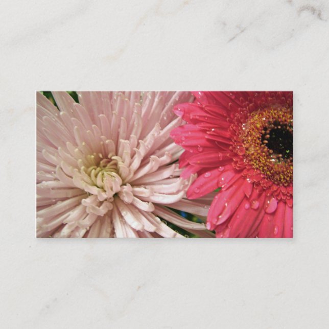 Cartão De Visita Flor de rosa claro crisântemo (Frente)