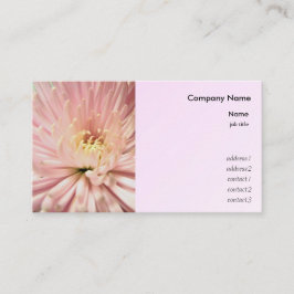 Cartão De Visita Flor de rosa claro crisântemo