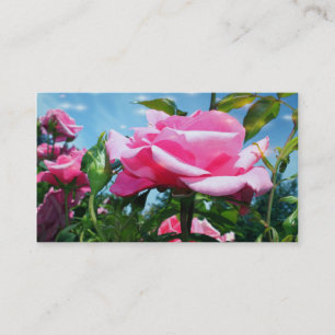 Cartão De Visita Flor de rosa cor-de-rosa magnífica negócios profis