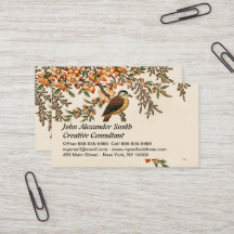 Flor e Pássaro Antiquado Chinês, Jardim de Vintage