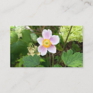 Cartão de Visita Flor Silvestre Rosa   Floral Botâ