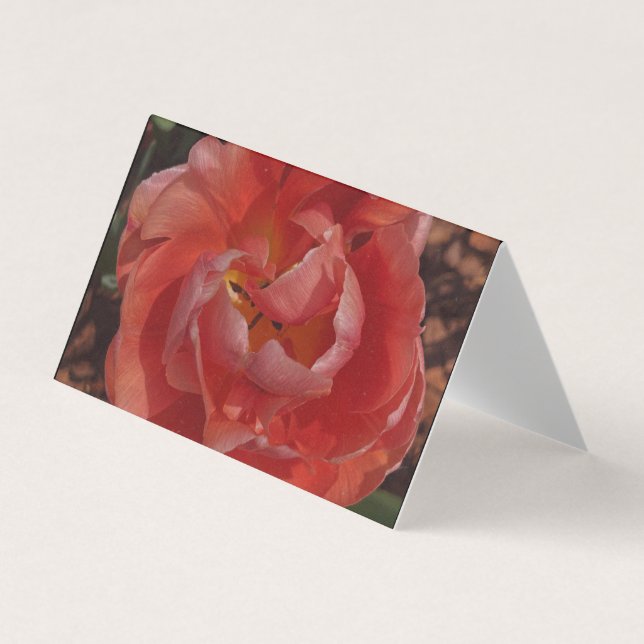 Cartão De Visita flor vermelha (Frente)
