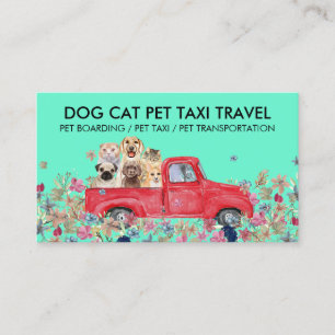 Cartão De Visita Flores de Caminhão Verde Cães Gatos