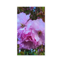Flores de Cerejeira Rosa