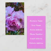 Flores De Flor De Cereja Rosa