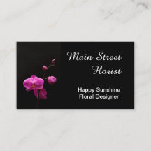 Flores do rosa da orquídea de traça