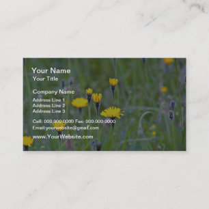 Cartão De Visita Flores grossas de hawkbit (Leontodon Hispidus)