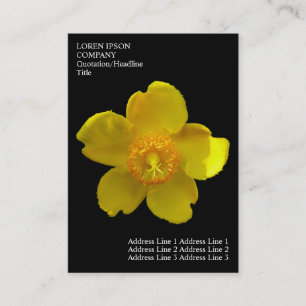 Cartão De Visita Flores Mínimas - Palha de John de Rua - Preto