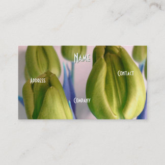 Cartão De Visita Florista - Green Rosey Tulips