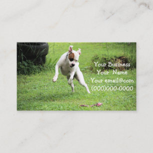 Cartão De Visita Flutuação