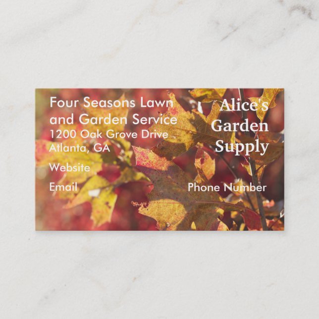 Cartão De Visita Folhas de outono (Frente)
