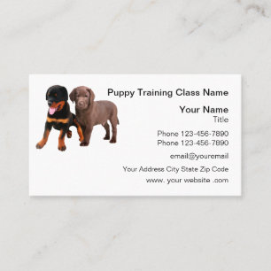 Cartão De Visita Formação E Obediência De Cães De Puppy