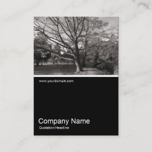 Cartão De Visita Foto 0266 de Half&Half - outono no parque