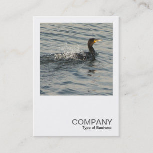 Cartão De Visita Foto ao quadrado 0359 - Cormorant Learning to Nata