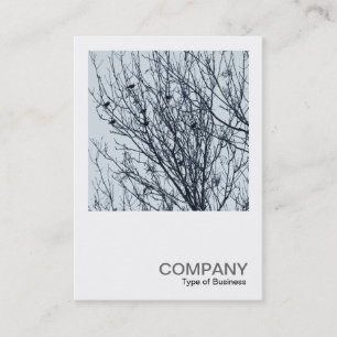 Cartão De Visita Foto ao quadrado 0563 - Amigos em uma árvore