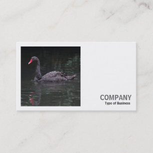 Cartão De Visita Foto ao quadrado (v2) - Cisne preto