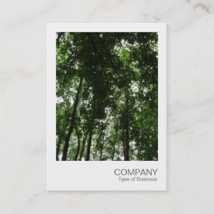 Cartão De Visita Foto instantânea 048 - Woodland Canopy 01