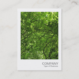 Cartão De Visita Foto instantânea 079 - Woodland Canopy