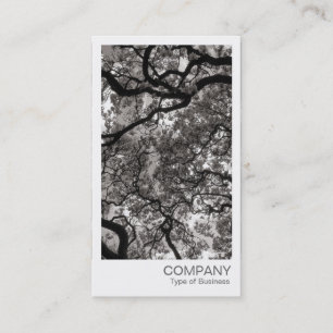 Cartão De Visita Foto instantânea - Magnolia Trees
