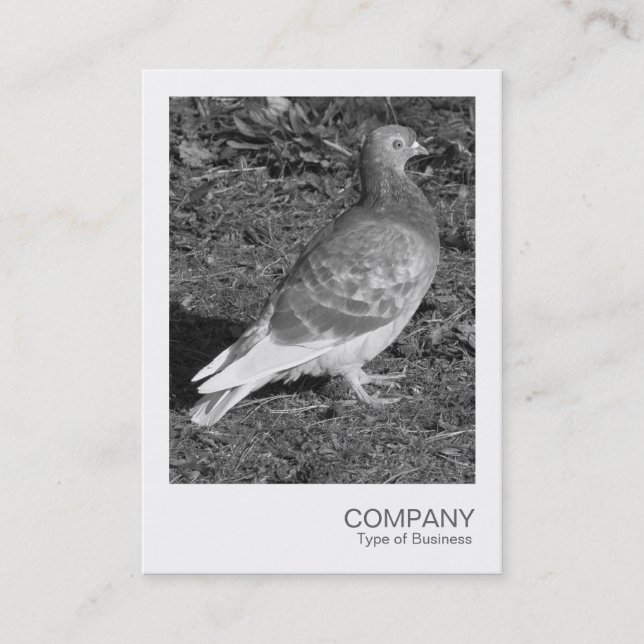 Cartão De Visita Foto instantânea - Pigeon BW (Frente)