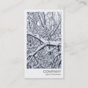 Cartão De Visita Foto Instantânea - Ramos Nevados