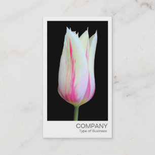 Cartão De Visita Foto instantânea - Tulip