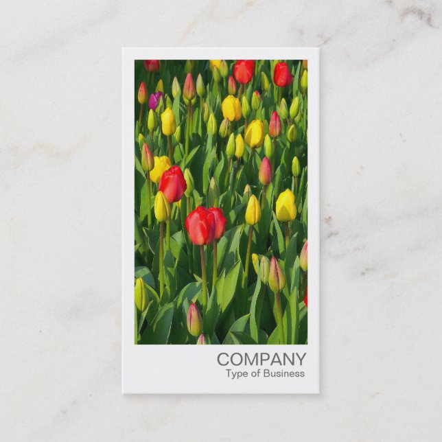 Cartão De Visita Foto instantânea - Tulipas coloridas (Frente)