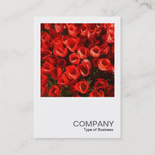 Cartão De Visita Foto Quadrada 01 - Tulips