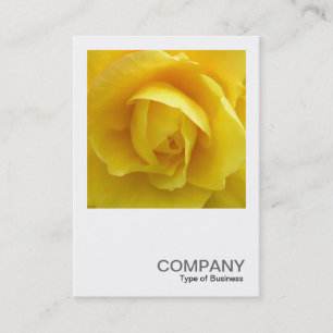 Cartão De Visita Foto quadrada 0236 - Yellow Lisianthus
