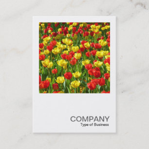 Cartão De Visita Foto quadrada 0320 - Mar de Tulips III