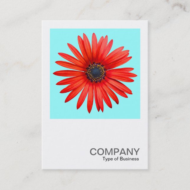 Cartão De Visita Foto quadrada 0344 - Red Devil on Ice Blue (Frente)