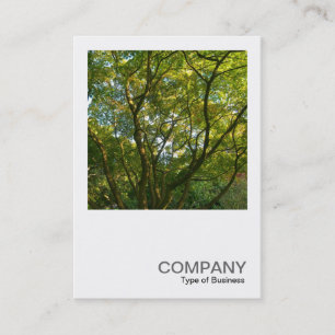 Cartão De Visita Foto quadrada 0376 - Japoneses Branches