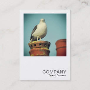 Cartão De Visita Foto quadrada 0427 - vara favorita