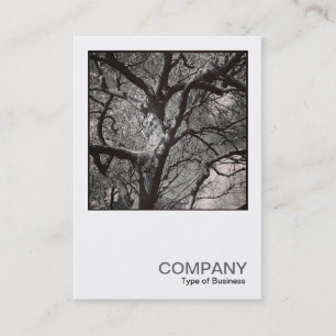 Cartão De Visita Foto quadrada 0458 - Magnolia Tree (Árvore de Magn