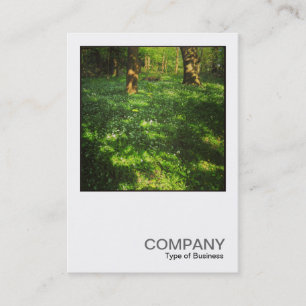 Cartão De Visita Foto quadrada 0469 - Primavera no bosque