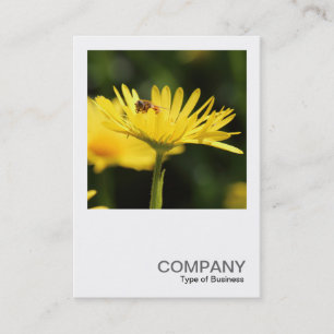 Cartão De Visita Foto quadrada 0543 - Busy Bee