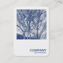 Cartão De Visita Foto quadrada 0591 - Árvores no inverno - Cianótip