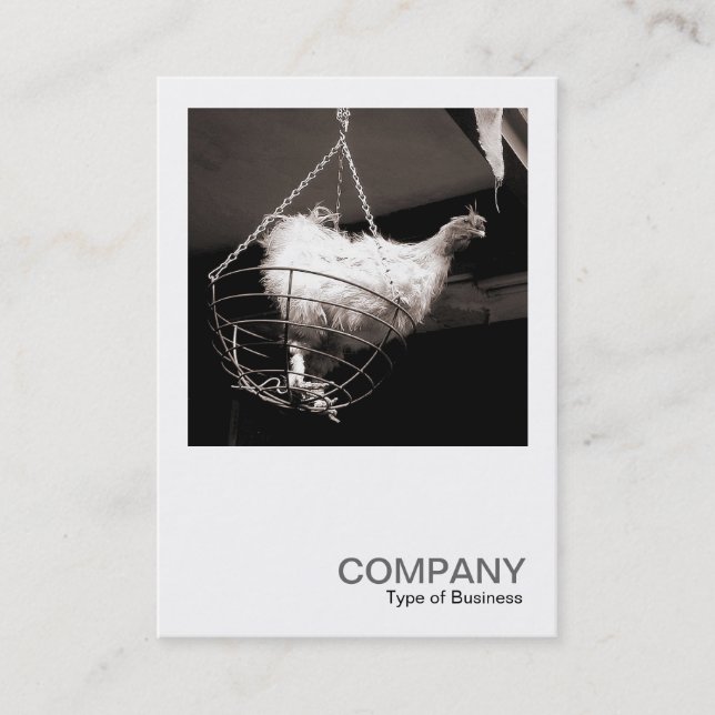 Cartão De Visita Foto quadrada 086 - galinha na cesta (Frente)