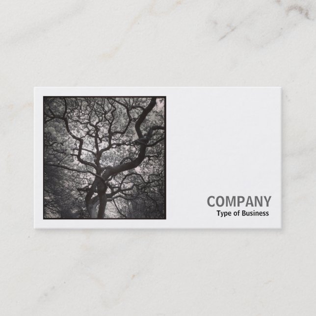 Cartão De Visita Foto Quadrada (v2) - Árvore Magnolia no Blossom 03 (Frente)