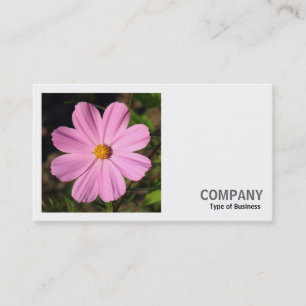 Cartão De Visita Foto Quadrada (v2) - Cosmos Rosa