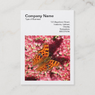 Cartão De Visita Foto Quadrada (v3) - Borboleta de Vírgula no Sedum