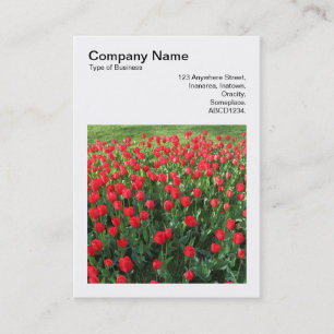 Cartão De Visita Foto Quadrada (v3) - Cama de Tulipas Vermelhas 01