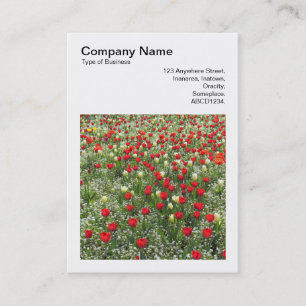 Cartão De Visita Foto Quadrada (v3) - Cama de Tulips