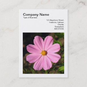 Cartão De Visita Foto Quadrada (v3) - Cosmos Rosa