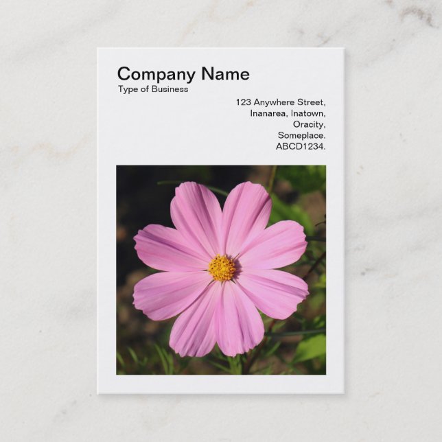 Cartão De Visita Foto Quadrada (v3) - Cosmos Rosa (Frente)